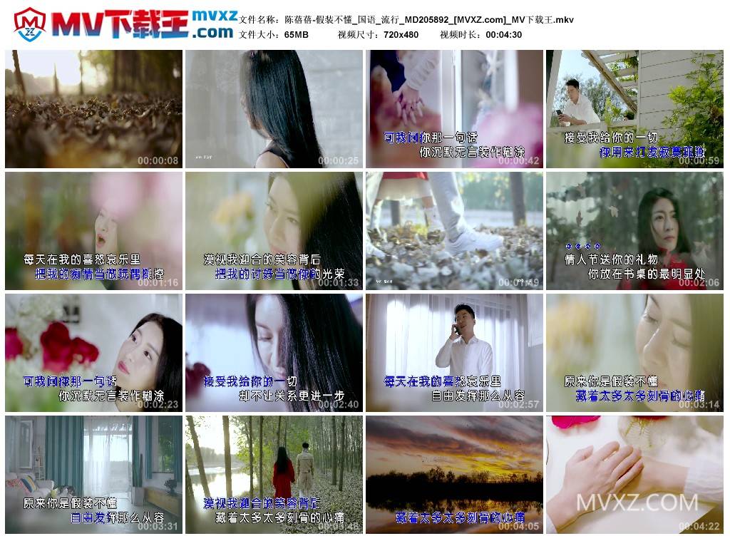 陈蓓蓓-假装不懂_国语_流行_MD205892